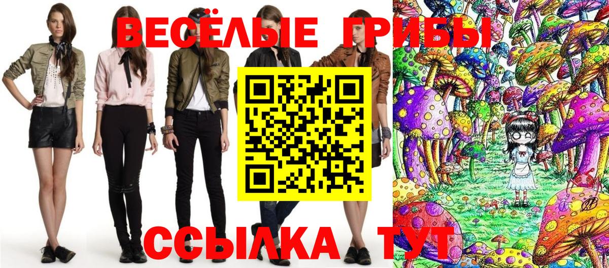 Галлюциногенные грибы прущие грибы  Вход с VPN  Нижнекамск 